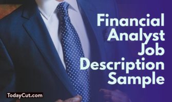 Financial analyst job description sample